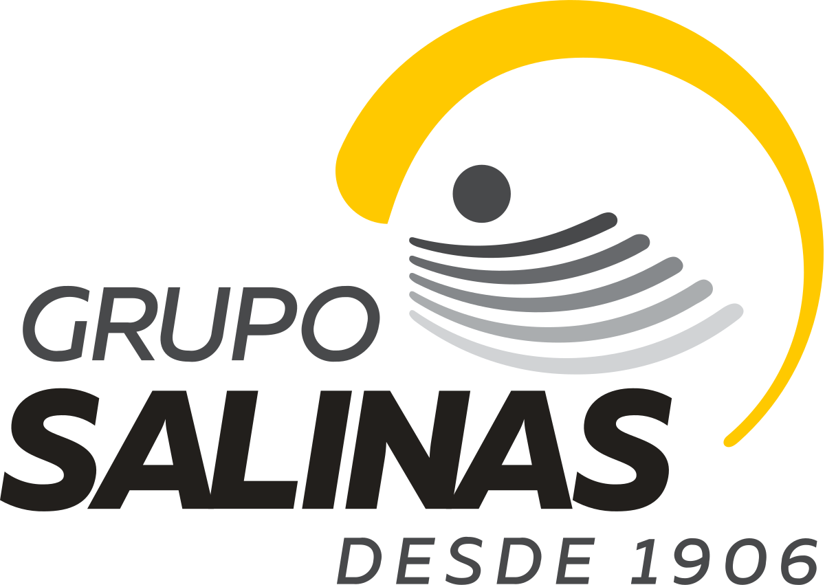 Logotipo_de_Grupo_Salinas.svg